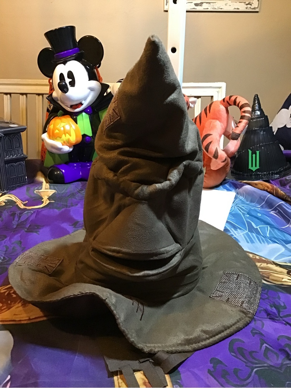 Harry Potter wizarding world sorting hart talking animated works